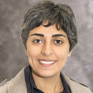 Nasim Alem